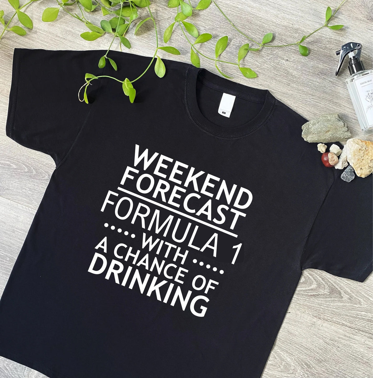 Weekend Forecast F1 / Formula 1 Funny T-Shirt & Hoodie, 339 black